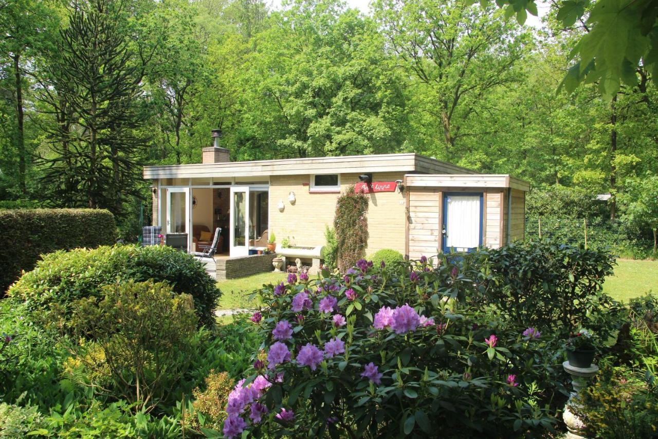 Apartamento Valouwe 54 Appelscha Exterior foto